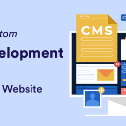 Custom CMS Development Software